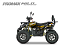 PROMAX WILD 2.0 190 PRO (2025)